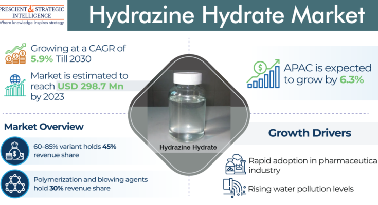 Hydrazine Hydrate Market