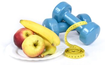 Sports Nutrition Ingredients Market