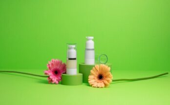 Global Waterless Cosmetics Market