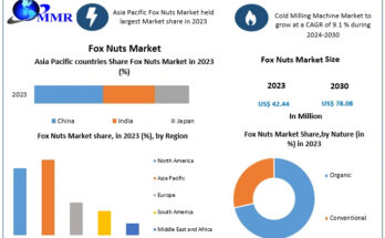 Fox Nuts Market