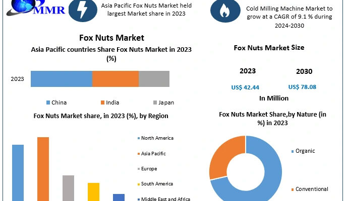 Fox Nuts Market