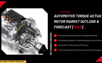 Global Automotive Torque Actuator Motor Market stood at USD 8.23 Billion in 2023 & will grow with a CAGR of 7.14% in the forecast 2025-2029. 