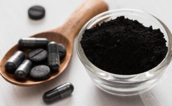 Global Charcoal Market