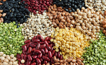 Dry Beans Market