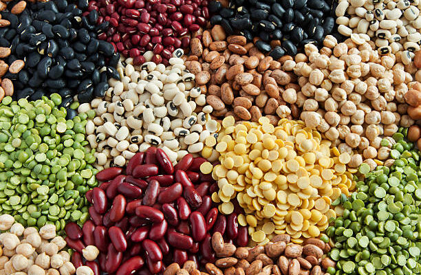 Dry Beans Market