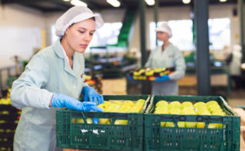 Fruit & Vegetable Processing Market