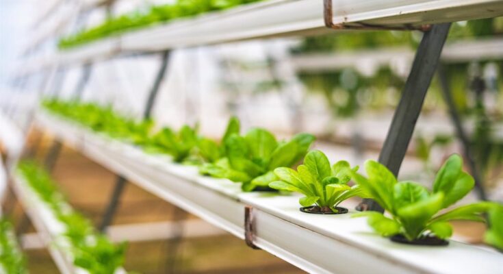 Global Aquaponics Market