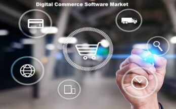 Global Digital Commerce Software Market