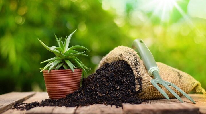 Global Organic Fertilizer Market