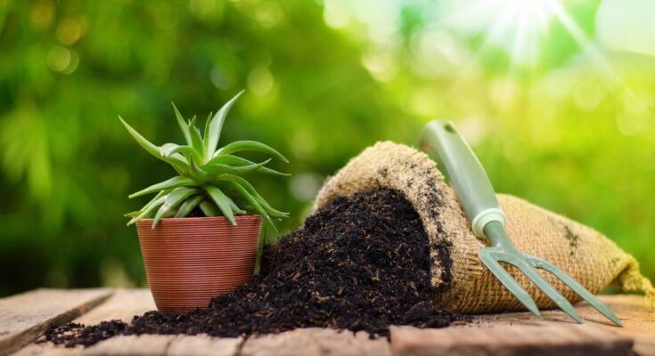 Global Organic Fertilizer Market