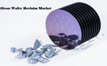 Global Silicon Wafer Reclaim Market