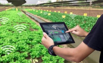 Global Smart Plantation Management Systems Market