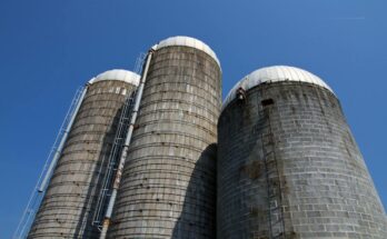 Grain Silos And Storage System Market