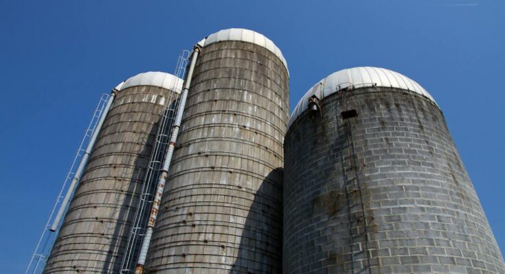 Grain Silos And Storage System Market