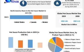 Hot Sauce Market