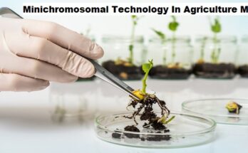 Minichromosomal Technology in Agriculture Market