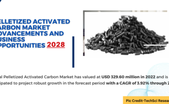 Global Pelletized Activated Carbon Market has valued at USD 329.60 million in 2022 & will grow in the forecast with a CAGR of 3.92% by 2028.