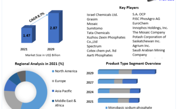 Sodium Phosphate Market