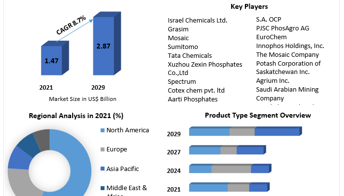 Sodium Phosphate Market