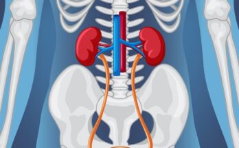 Urinary Drainage Bags Market