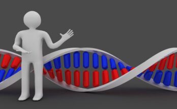 Viral Vectors And Plasmid DNA Market