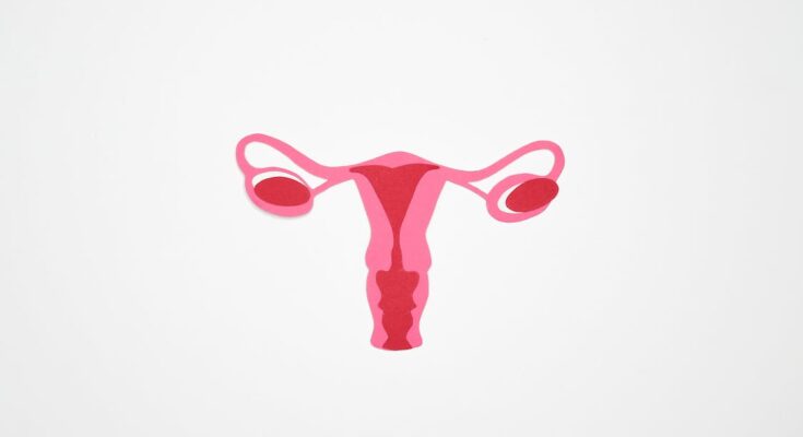 Uterine Fibroids Treatment Market