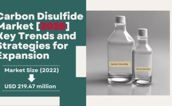 Carbon Disulfide Market stood at USD 219.47 million in 2022 & will growth in the forecast period with a CAGR of 2.99% by 2028.