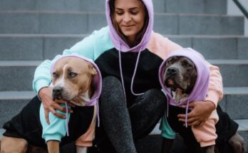 Dog Clothing & Accessories Market