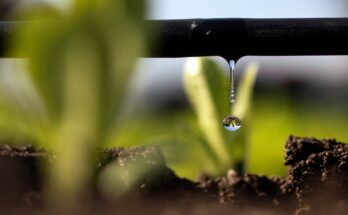 Drip Irrigation Market