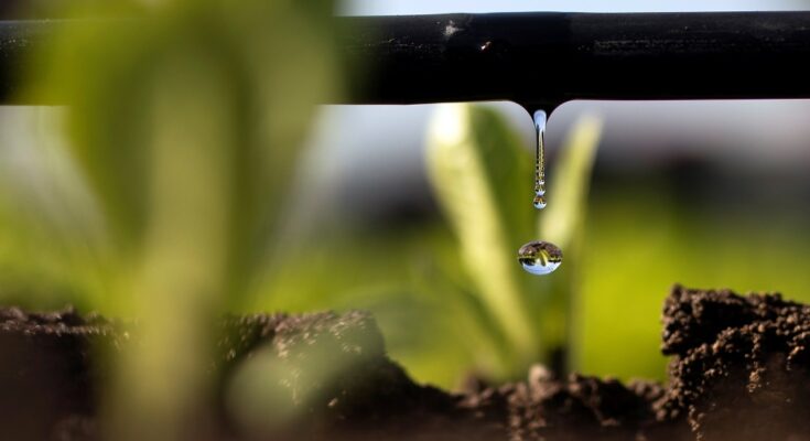 Drip Irrigation Market