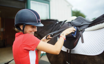 Equestrian Helmet Market