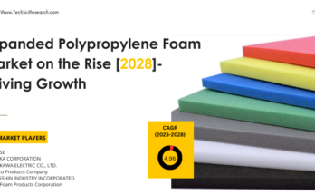 Global Expanded Polypropylene Foam Market stood at USD 1.06 billion in 2022 & will grow with a CAGR of 4.96% in the forecast 2023-2028.