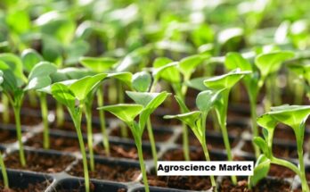 Global Agroscience Market