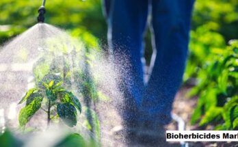 Global Bioherbicides Market