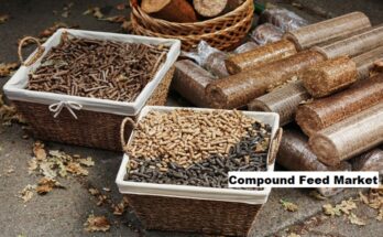 Global Compound Feed Market