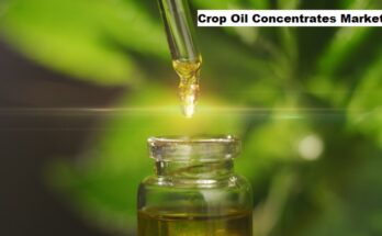 Global Crop Oil Concentrates Market