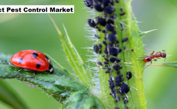 Global Insect Pest Control Market