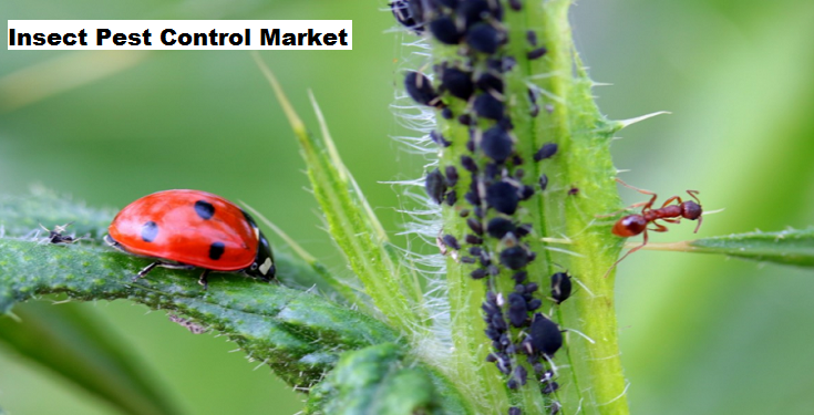 Global Insect Pest Control Market