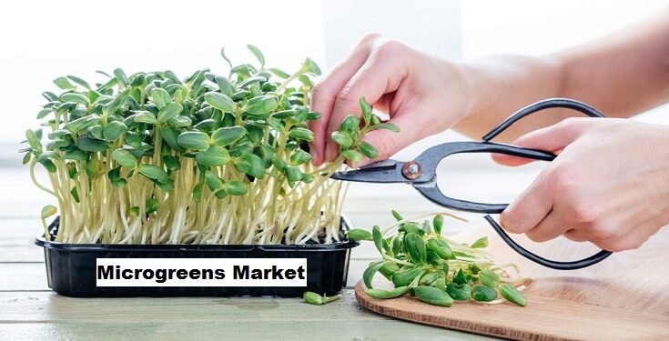 Global Microgreens Market