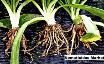 Global Nematicides Market