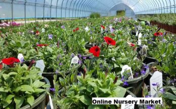 Global Online Nursery Market