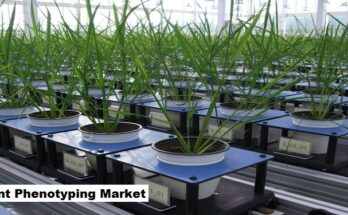 Global Plant Phenotyping Market