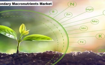 Global Secondary Macronutrients Market