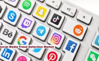 Global Social Media Fraud Detection Market