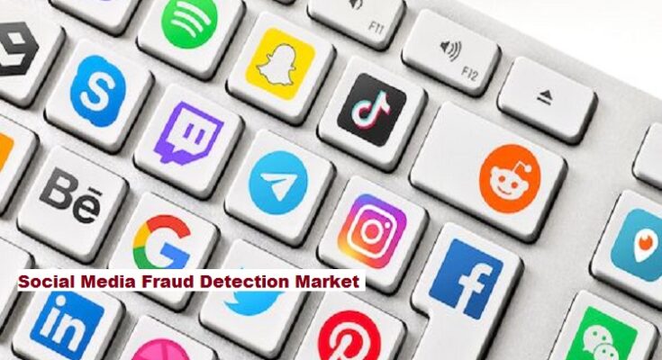 Global Social Media Fraud Detection Market