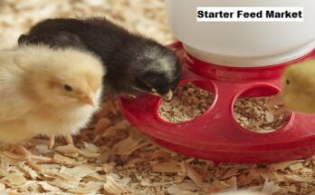 Global Starter Feed Market