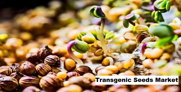 Global Transgenic Seeds Market