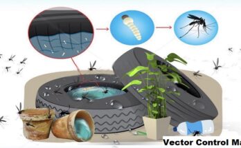 Global Vector Control Market