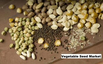 Global Vegetable Seed Market