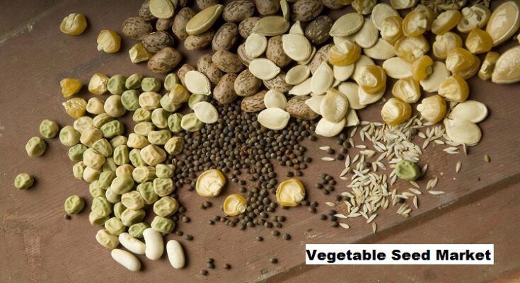 Global Vegetable Seed Market